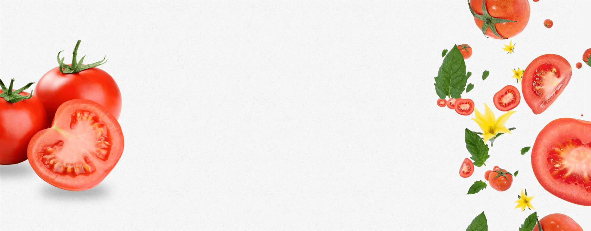 Desktop Slider Image