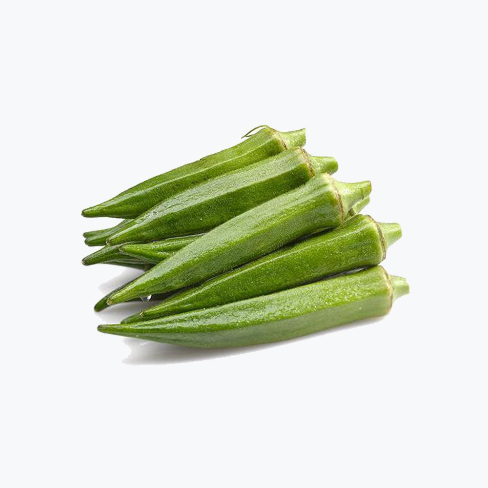 Consectetur adipiscing