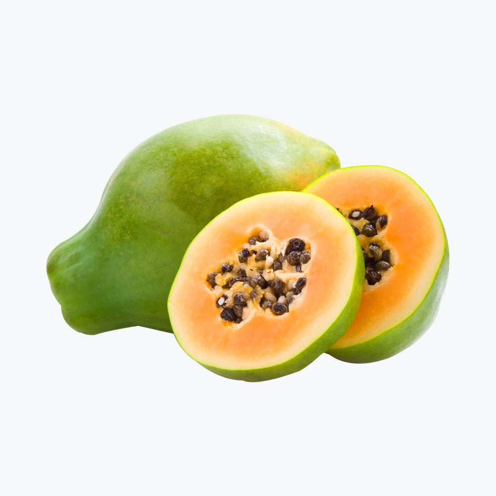 Aliquam rutrum mollis